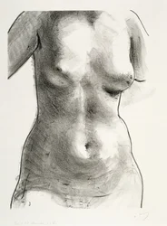Torso van een vrouw